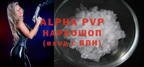 индика Беломорск