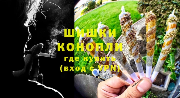 ПСИЛОЦИБИНОВЫЕ ГРИБЫ Белокуриха