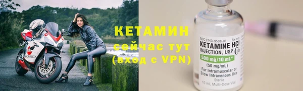 индика Беломорск