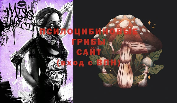 ПСИЛОЦИБИНОВЫЕ ГРИБЫ Белокуриха