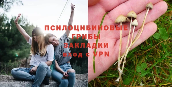 a pvp Белоозёрский