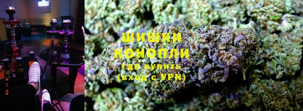 индика Беломорск