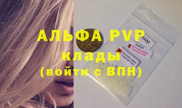 индика Беломорск