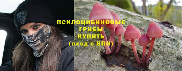 индика Беломорск