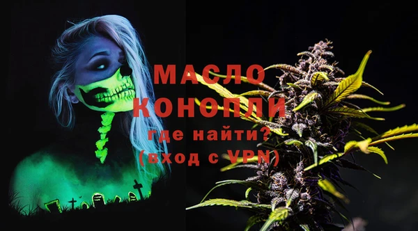 индика Беломорск