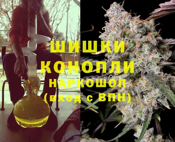 индика Беломорск