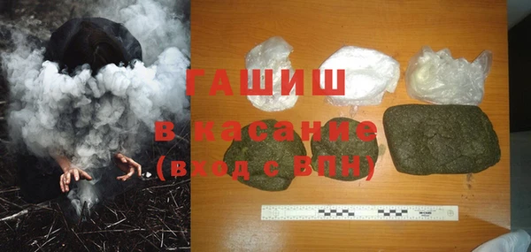 индика Беломорск