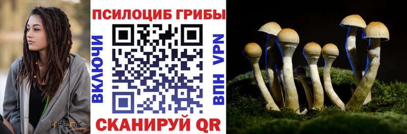 Псилоцибиновые грибы Psilocybine cubensis  Пыть-Ях 